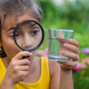 The child examines a glass of water with a magnifying glass.